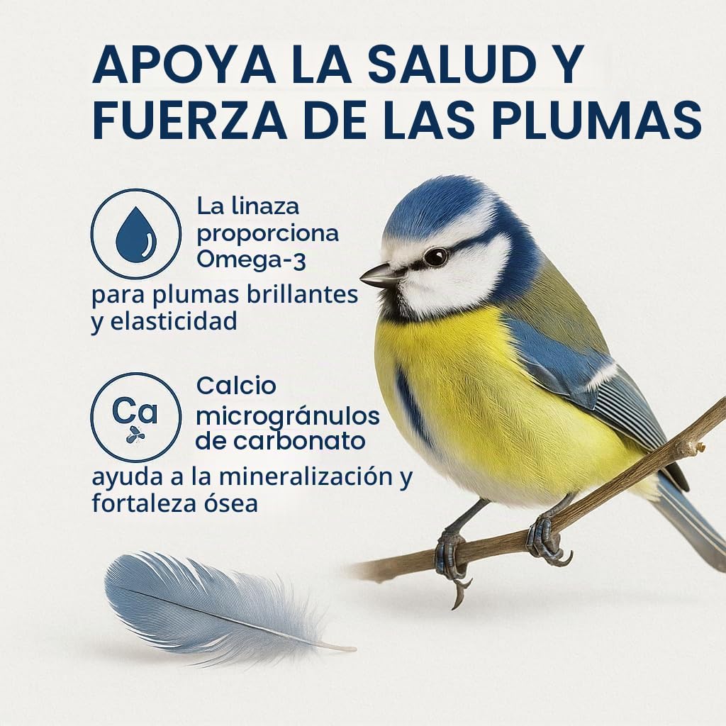 GiDeli Comida para pájaros de invierno, 30 kg, para aves silvestres durante todo el año, alimento para herrerillos para jardín y balcón, con semillas de lino ricas en Omega-3, calcio, sin aditivos