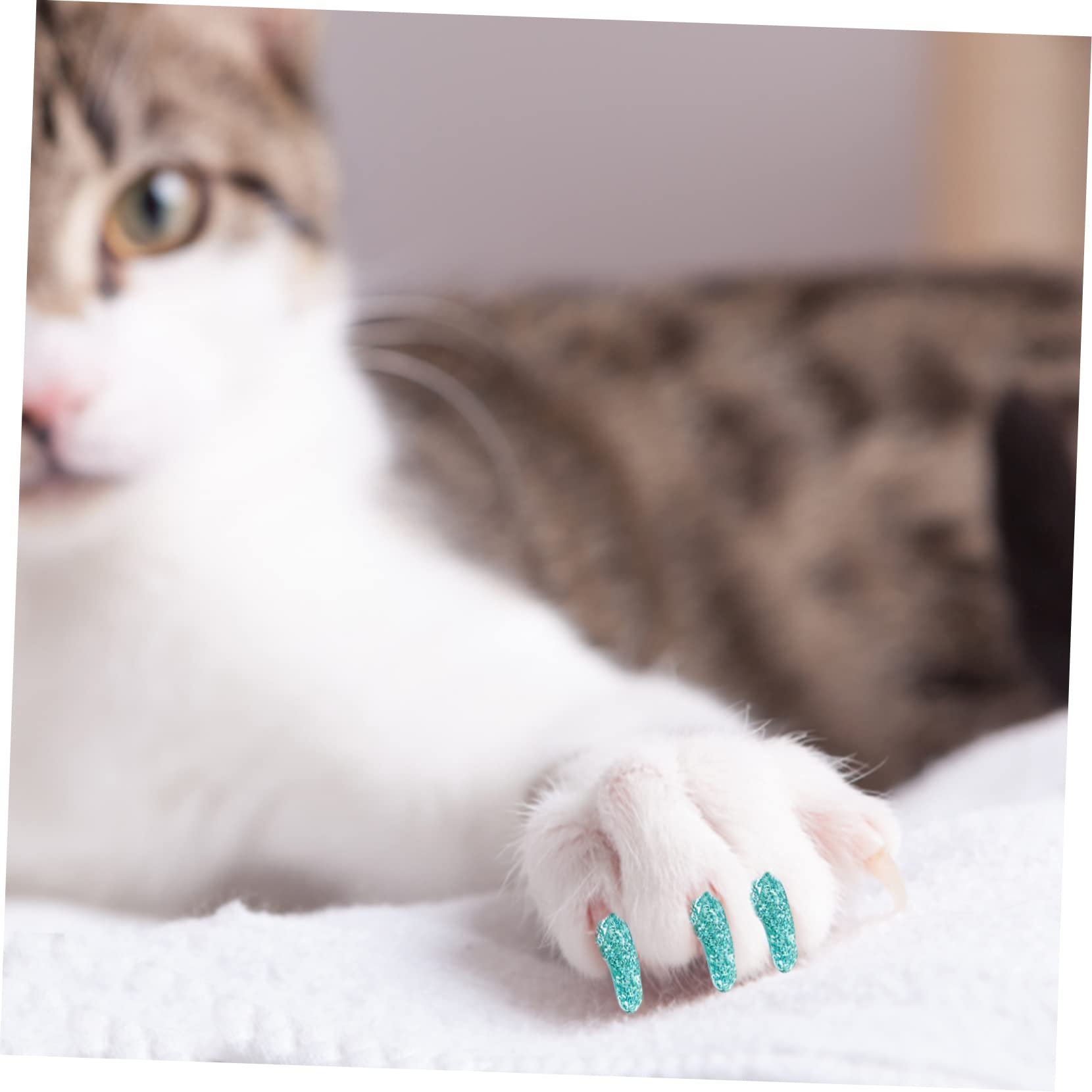 Kisangel 40sätze Kunterbunte Katzen Und Hundekrallenabdeckungen Teiliges Für Sicheres Krallenschutz Hochwertigem Für Katzenpflege Und Kratzschutz Für Haustierliebhaber