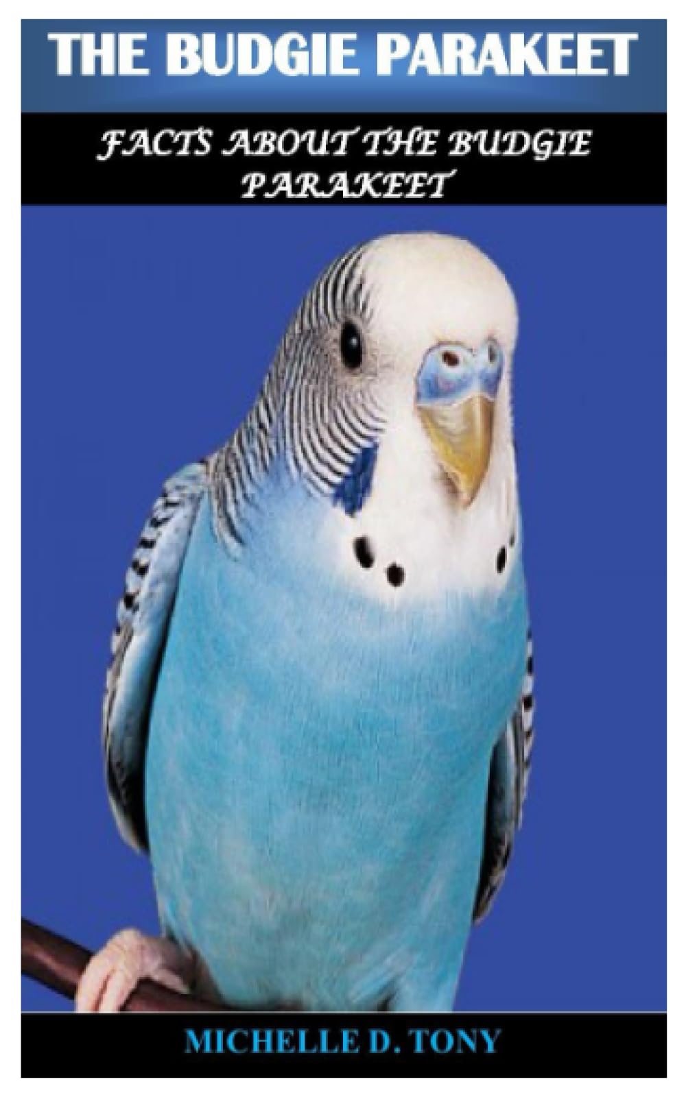 THE BUDGIE PARAKEET: Facts About The Budgie Parakeet