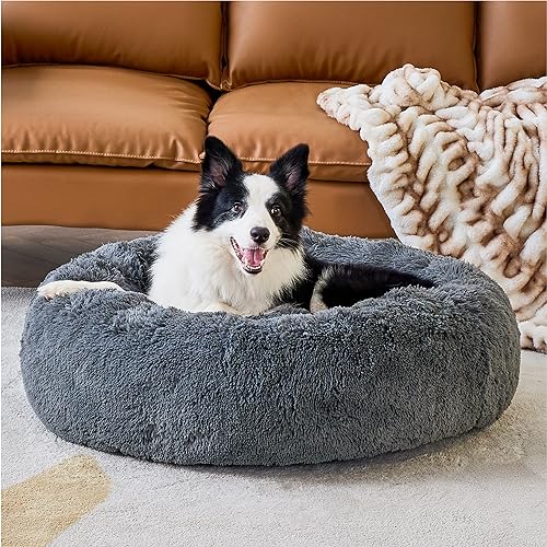 Bedsure Hundebett grosse Hunde donut - Ø 91 cm Hundekorb für große Hunde, plüsch Hundekissen rund Kuschelbett waschbar, dunkelgrau