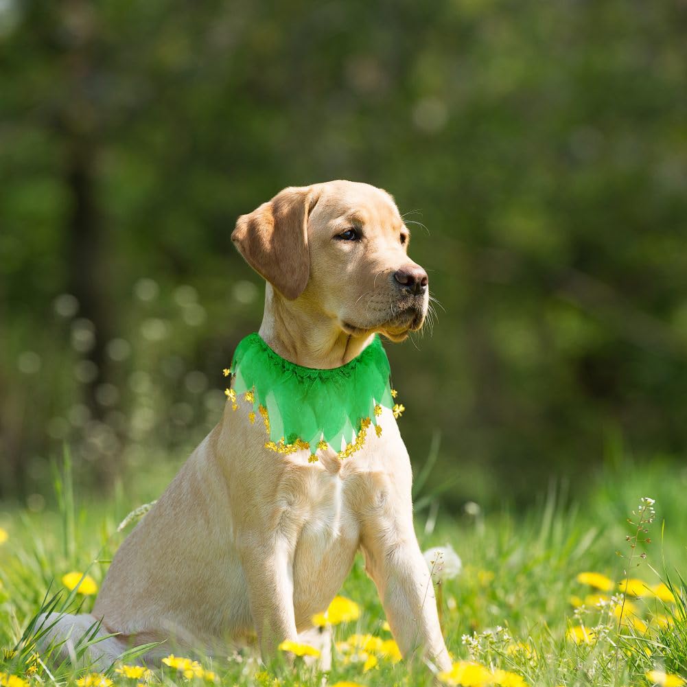 Fancy Pet Collars for St Patrick's Costume - Image 4