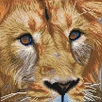 DIAMOND DOTZ  DIAMOND DOTZ - Serengeti Magic - 30.5 X 30.5CM (12 X 12 in)