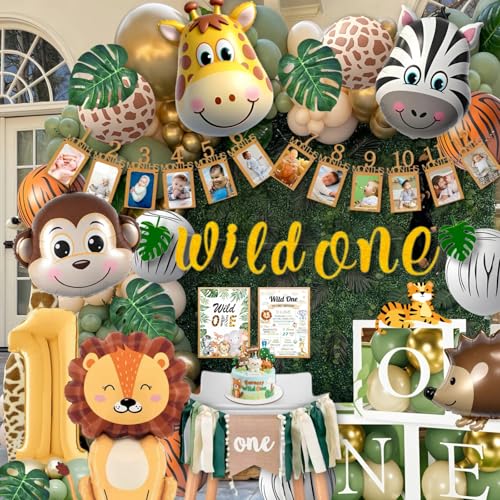 Daidle Wild One Birthday Decorations, 1st Birthday Decoratio