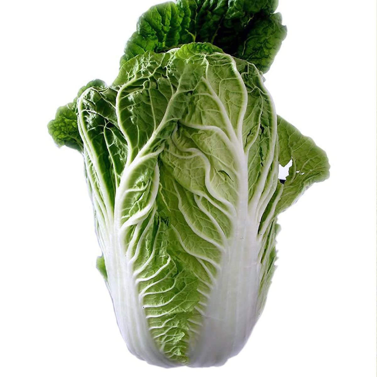 Nelesa Gardening Cabbage Chinese Vegetable Bok Choy Pok Choy Seed - 50 Seeds Pack for Home Garden, Non-GMO Organic Asian Greens, Perfect for Kitchen & Outdoor Gardening, High Yield, Easy to Grow (B00IRZEXTY) Amazon Price History, Amazon Price Tracker