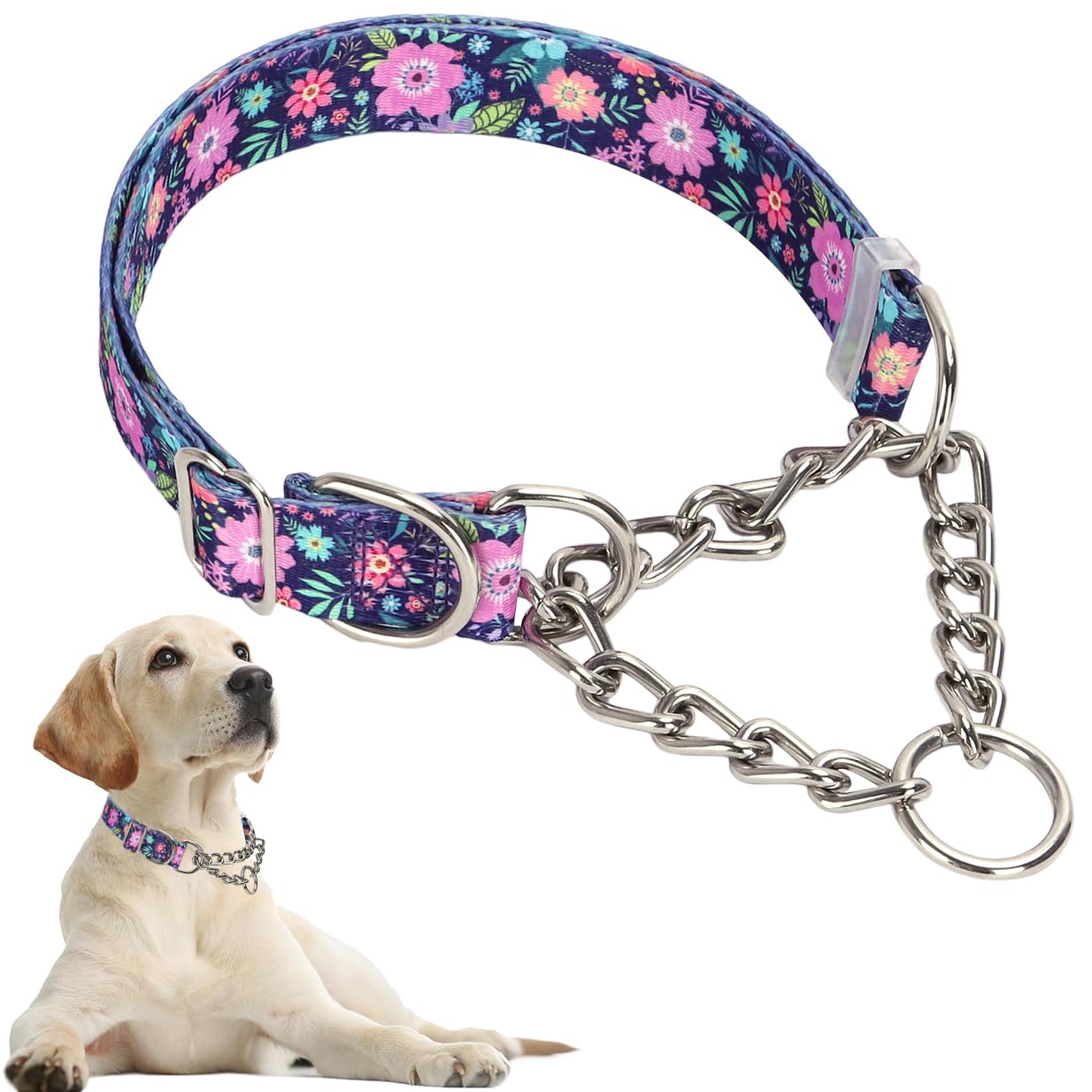 Chain Dog Collar
