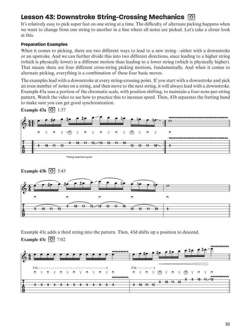 Total Picking Control - Troy Stetina | Méthode guitare rock solo intermédiaire à avancé avec tablatures et notation | Cours complet de picking, vitesse et contrôle technique avec audio en ligne