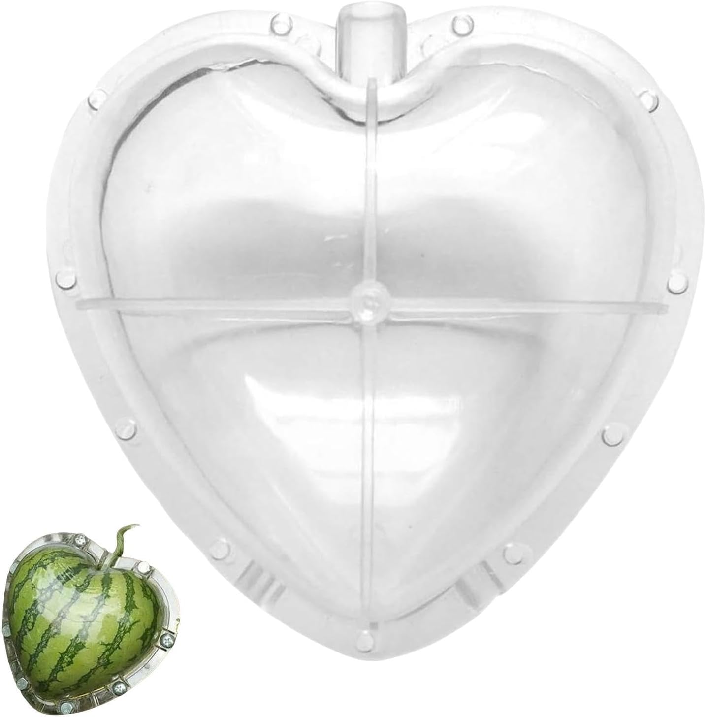 Watermelon Molds for Growing Reusable Transparent