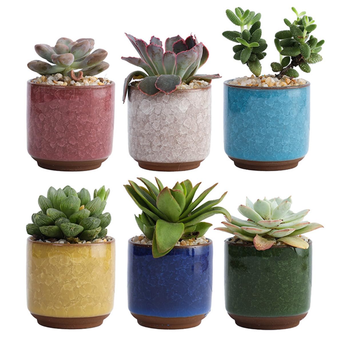 Pots succulentes céramique de qualité supérieure au design élégant et solide