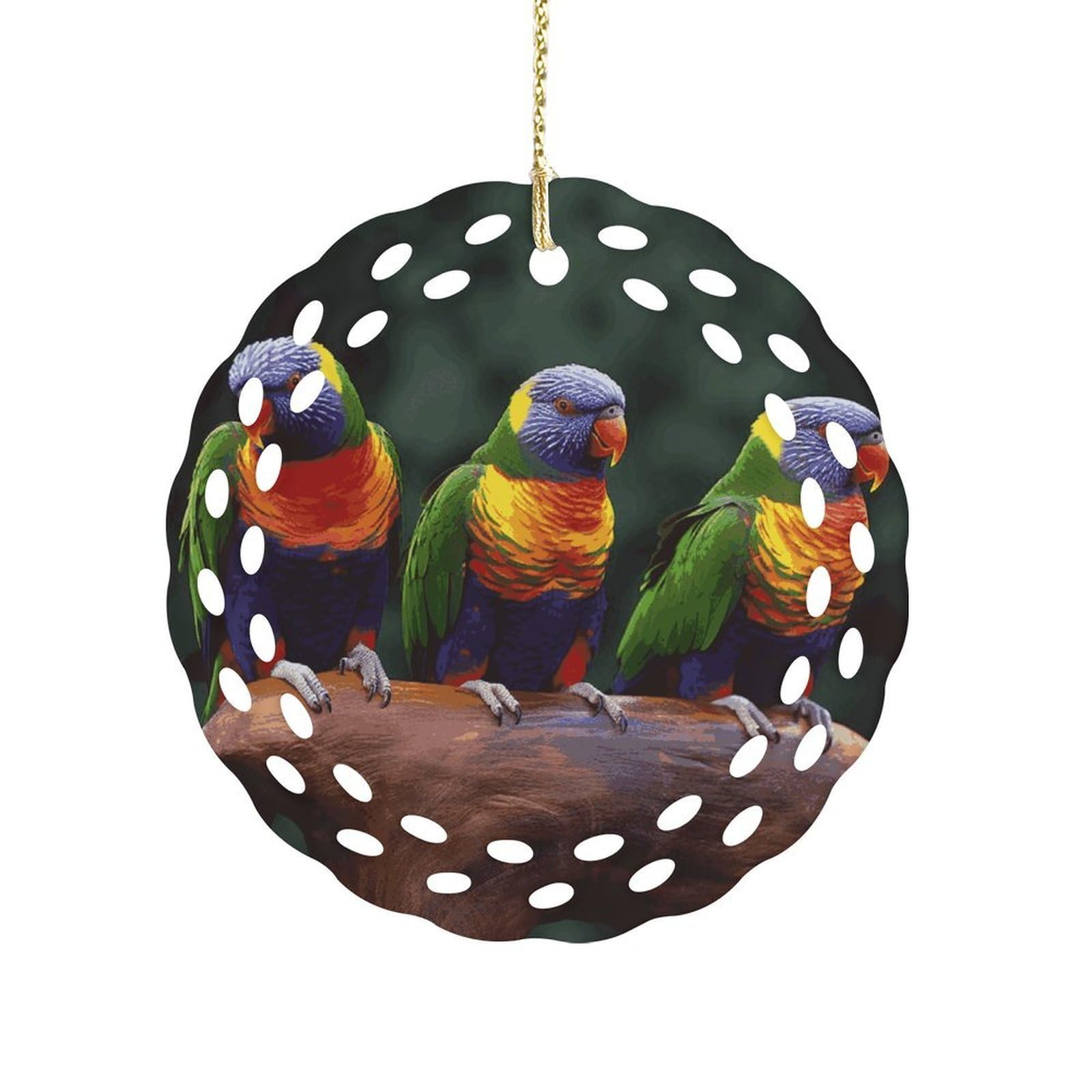 Wsoihfec Women's Style Rainbow Parrots Hanging Ornament 3 Inch Round,1-Pack,Xmas Decor -Two-Sided Printed,Friend Ornament Gifts For Friends Coworker Sisters