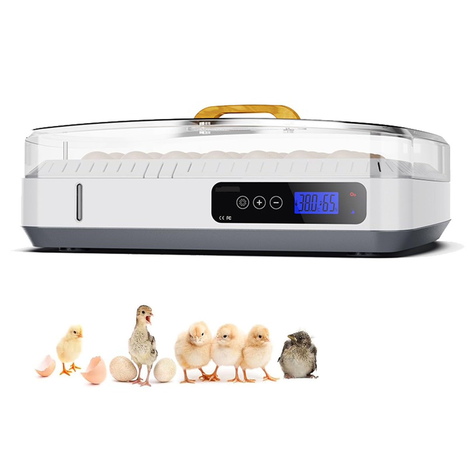 Incubadora automática de huevos para 35 huevos con control de temperatura y humedad, función de giro de huevos para incubar pollos, patos, gansos, codornices
