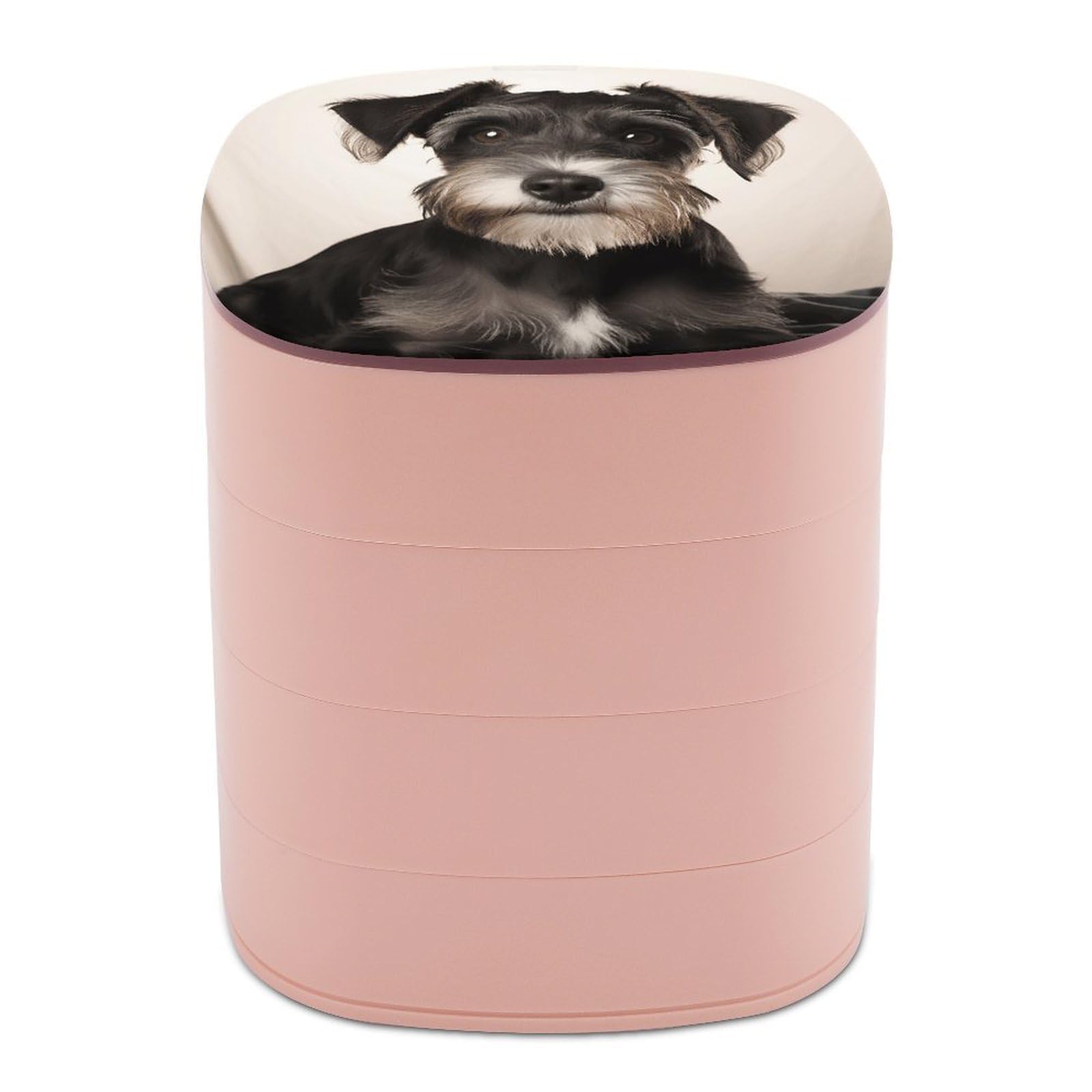 VstaDank Cute Schnauzer Jewelry Case Women Portable Travel Jewelry Box Rotating Jewelry Organizer with Mirror Multi-Layer Necklace Ring Earring Storage Box for Bracelets Rings