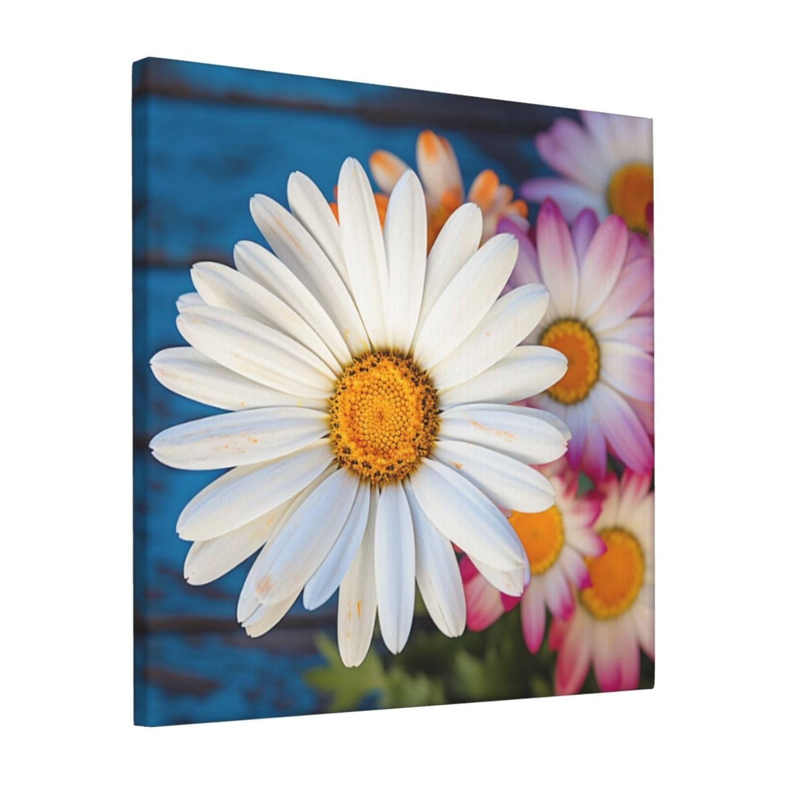 FodPand Barberton daisy Canvas Wall Art for Living Room Wall Decor 12"x12" Modern Artwork Painting Pictures Hanging Canvas Prints Aesthetic Wall Art for Bedroom Bathroom Office Wallart Decor
