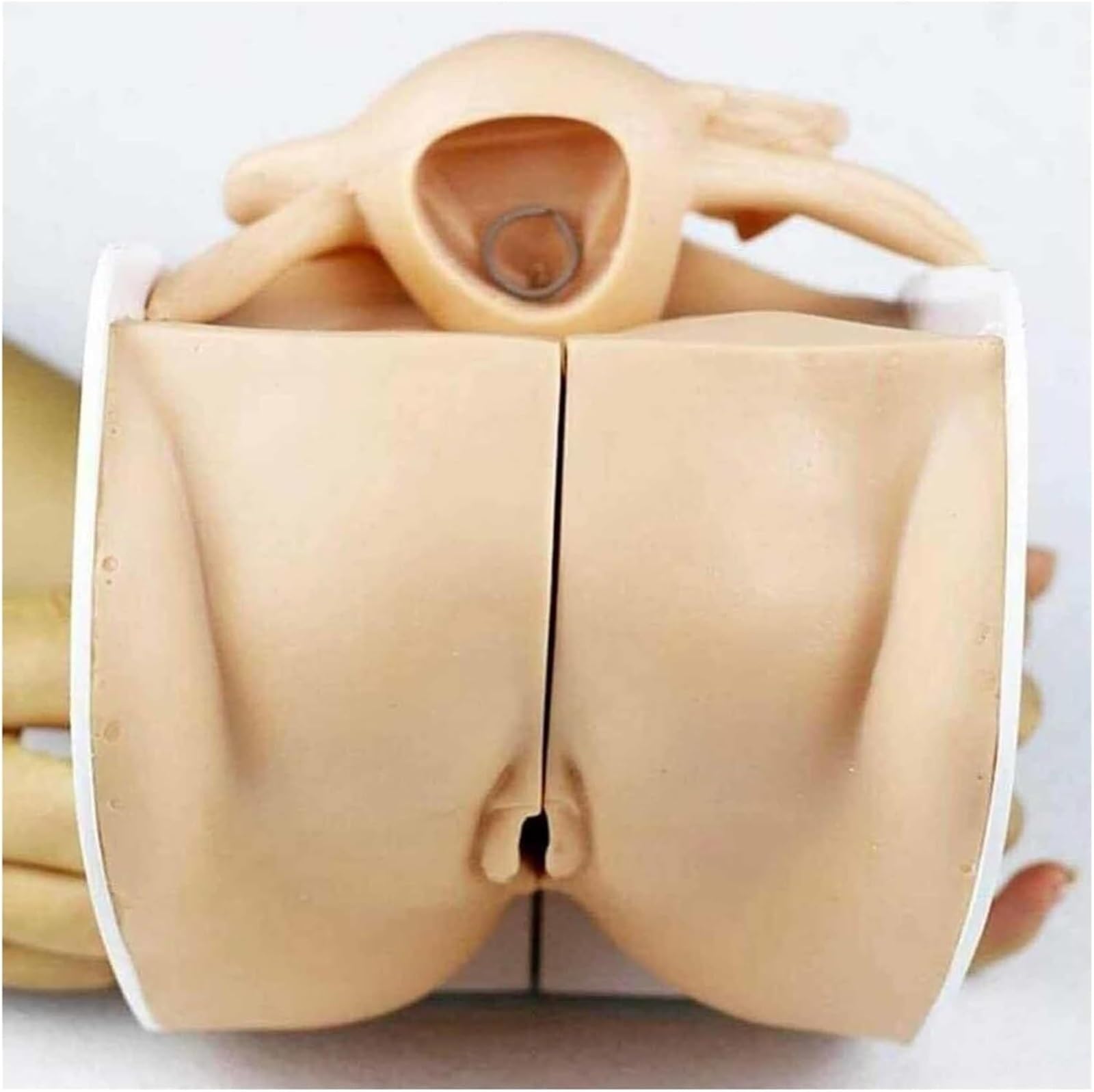 Maniquí Ginecológico Femenino, Modelo De Anatomía Genital Femenina, Modelo De Guía De Anticoncepción Femenina De Tamaño Natural Y Maniquí Con Anatomía Precisa, Adecuado for Enseñanza Y Operación Práct