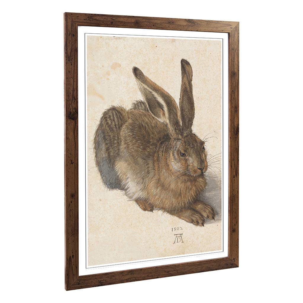 Big Box Art Framed Print of Albrecht Durer The Hare Design | Wall Art Picture | Home Decor for Kitchen, Living, Dining Room, Bedroom, Hallway, Office, Walnut, A2 / 24.5x18 Inch / 62x45cm