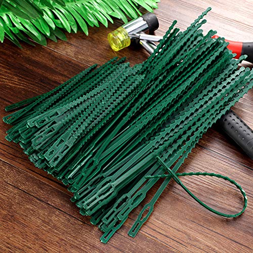 Cinta ajustable para plantas 200 piezas WILLBOND miniatura 7