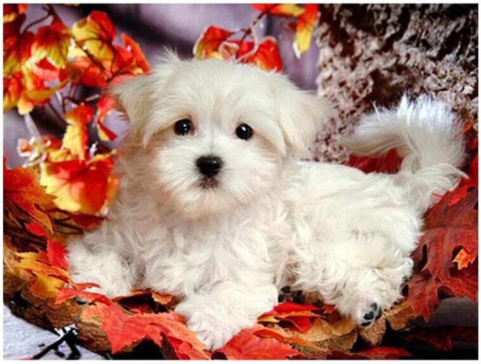 light box per la verniciatura con diamanti