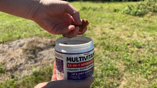 Dog Multivitamin Chewable with Glucosamine - 240 Treats - Dog Vitamins and Supplements - Senior & Puppy Multivitamin for Dogs - Hip & Joint Support - Immune Health, Skin, Heart, Digestion, Probiotics - image 7