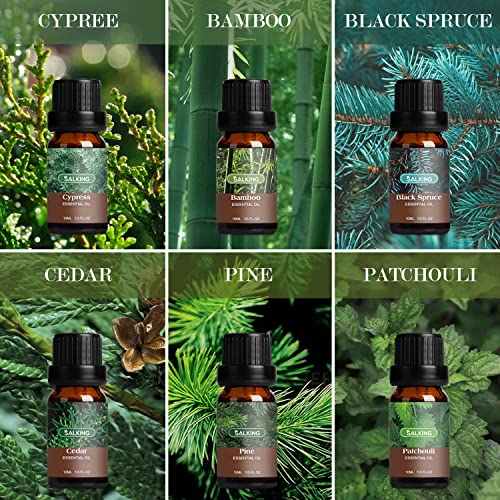 Image of SALKING Woodsy Essential Oils Set for Men, Masculine Essential Oils Set