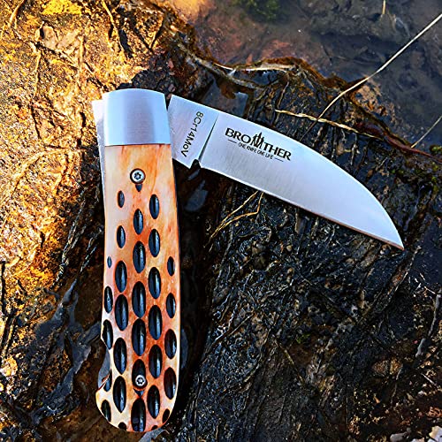Watchman Brother1506 Blade Knife Carbone Fiber Bone Grips Lock Back Pocket Knife … (bone)