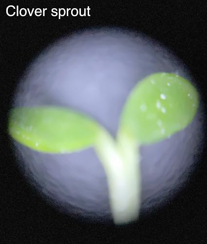 Review Image by Miyoshi Haruta