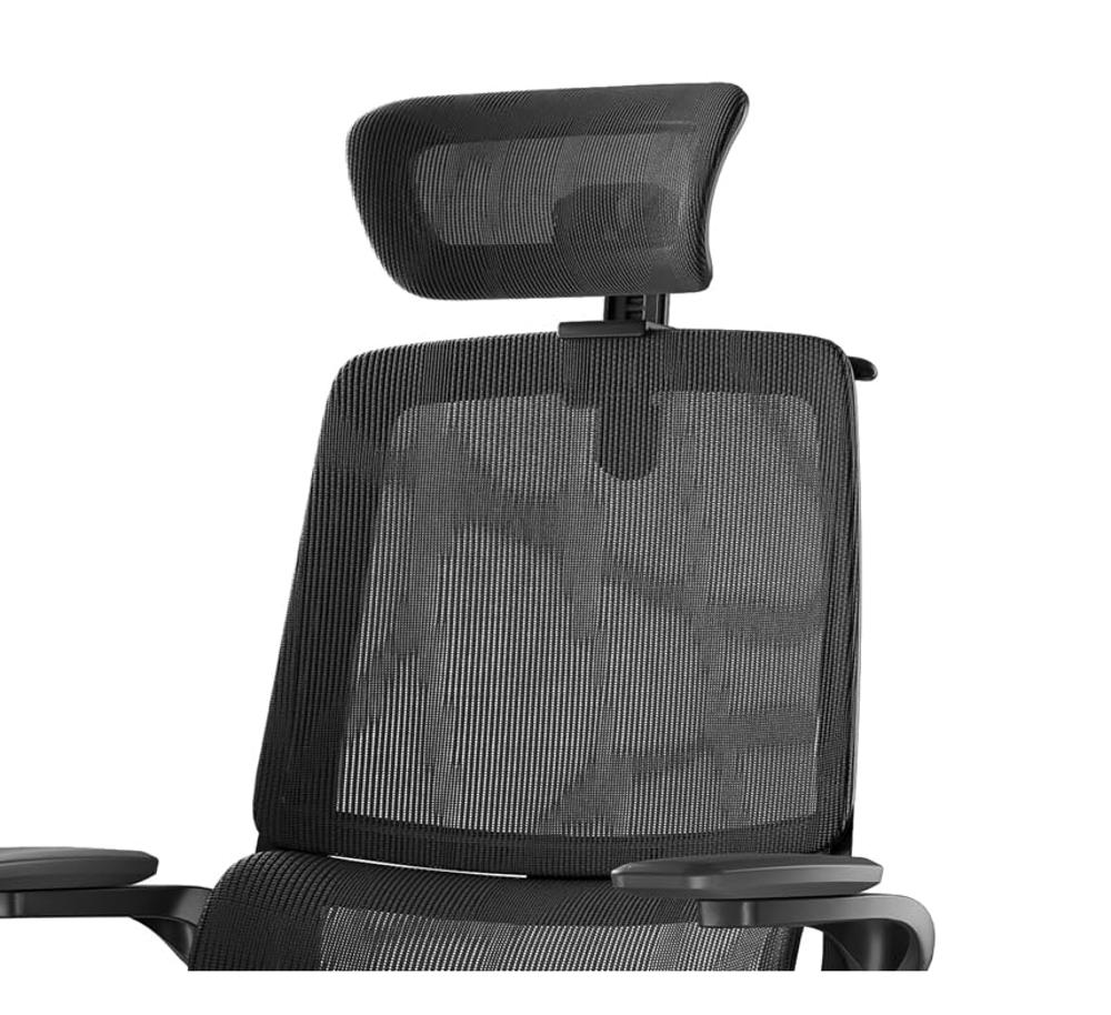 Amazon.com: SIHOO M59AS Ergonomic Office Chair, Dual Backrest