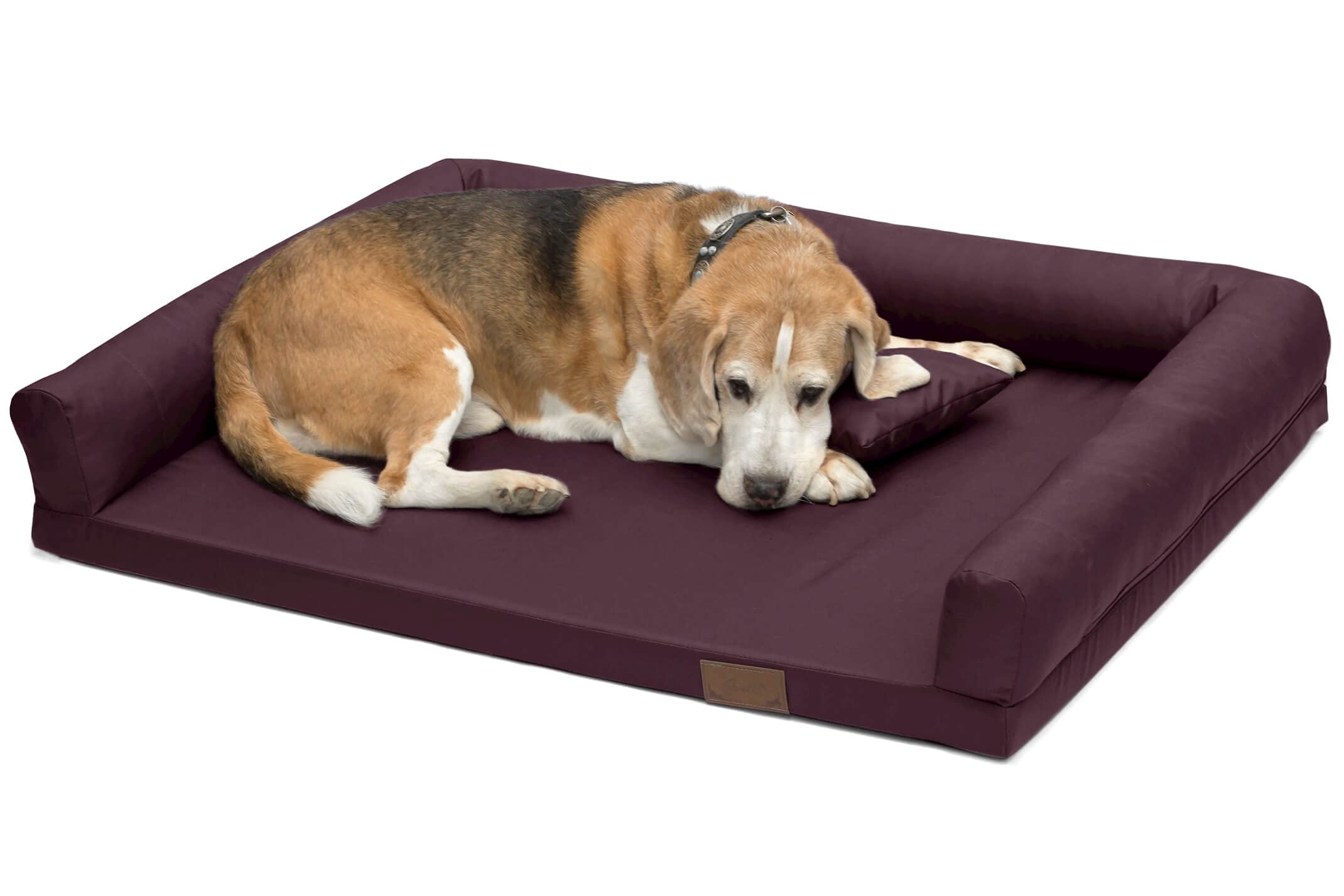 Juelle Cama Ortopédica para Perros Medianos, Colchón Ergonómico con Lados para Perros Medianos, Funda Extraíble, Lavable a Máquina a Máquina de la Lucky 2XL (Tamaño: M - 100 x 75 cm, Ciruela)