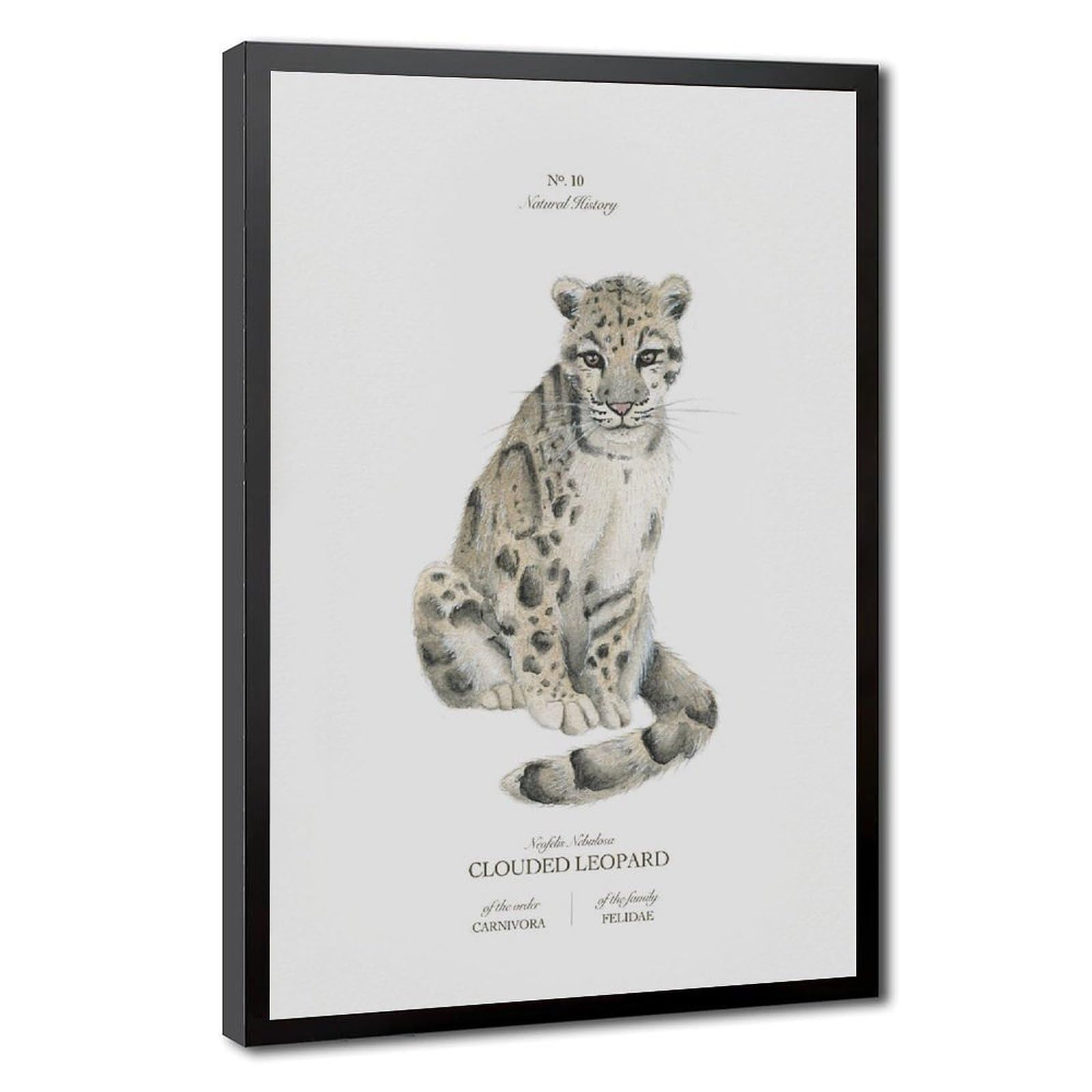 Bareronor Clouded Leopard Poster Canvas Poster Bedroom Decor Landscape Office Room Decor Gift 20" L X 30" W
