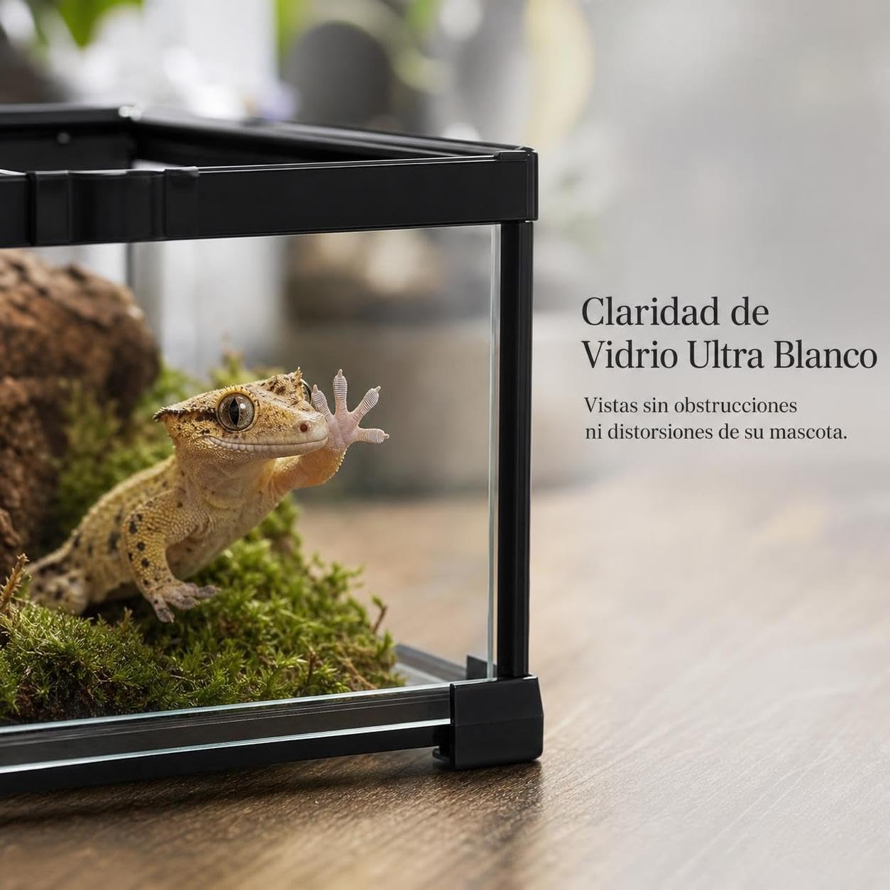 Terrario Vidrio Reptiles Apilable, 50 * 30 * 15cm | Plástico - campo ° - montaje fácil - resistente - ahorro espacio - cría - exhibición - - para iguanas