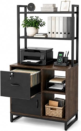 Industrial Style Office Storage Cabinet
