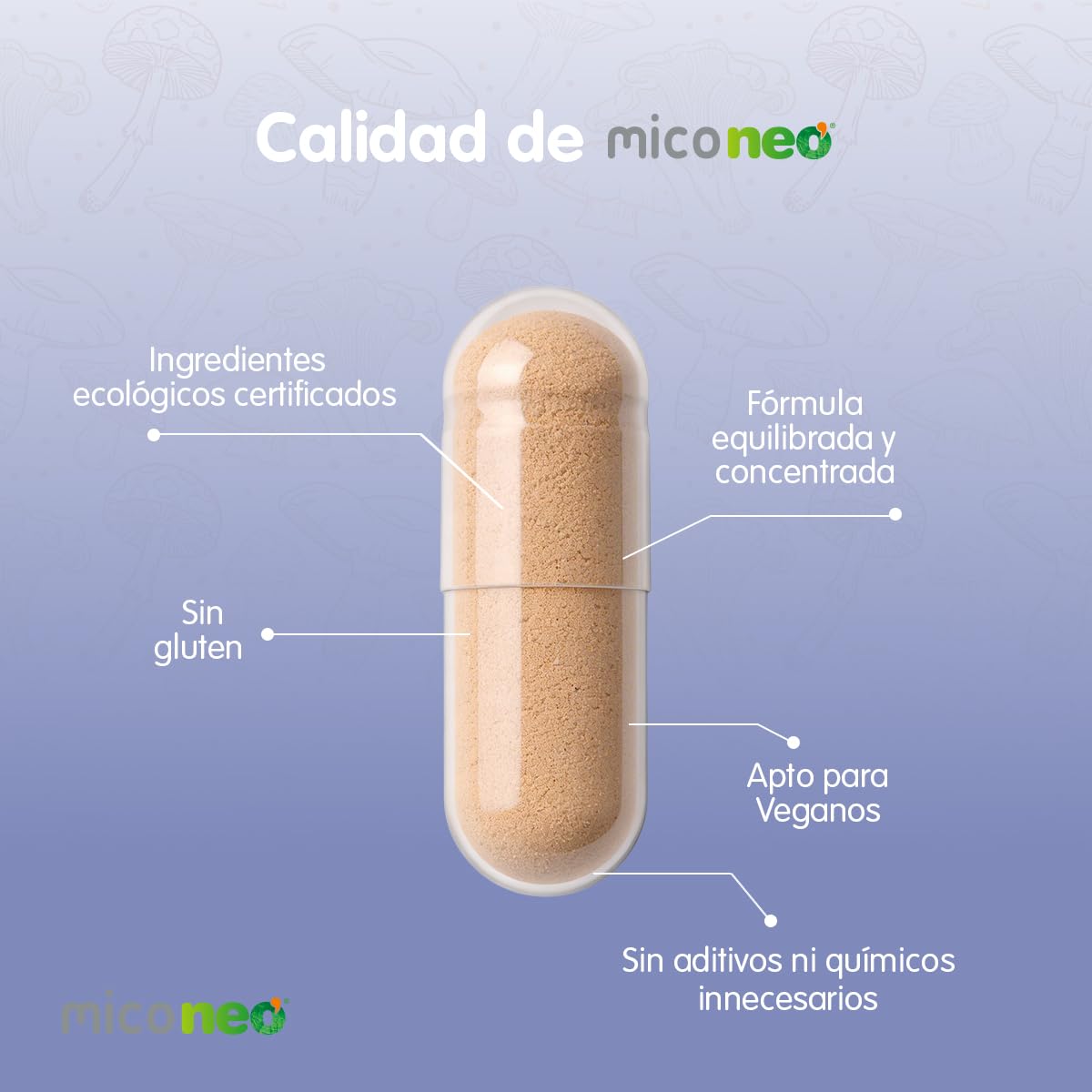 MICO NEO | GYB | 60 Cápsulas | Suplemento Alimenticio de Hongos Naturales Para Equilibrio intestinal y claridad mental | Con Melena de León y Probiótico | Equilibrio intestinal, Claridad mental, Con Melena de León, Con Probiótico