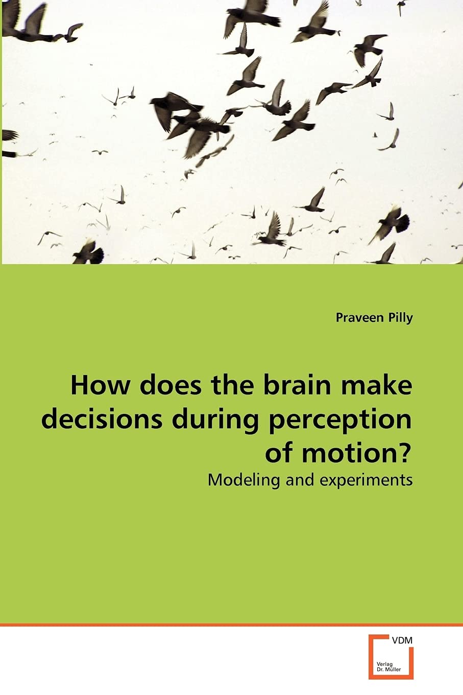 How does the brain make decisions during perception of motion?: Modeling and experiments