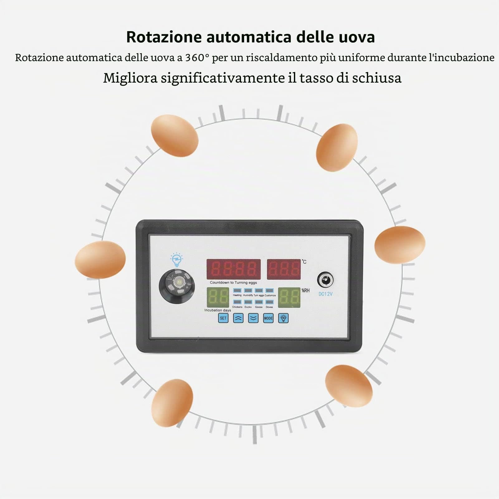 Termostato Intelligente per Incubatrice, Igrostato Automatico con Sonda Umidità e Temperatura, Controllo Remoto per Hatching, DC 12V