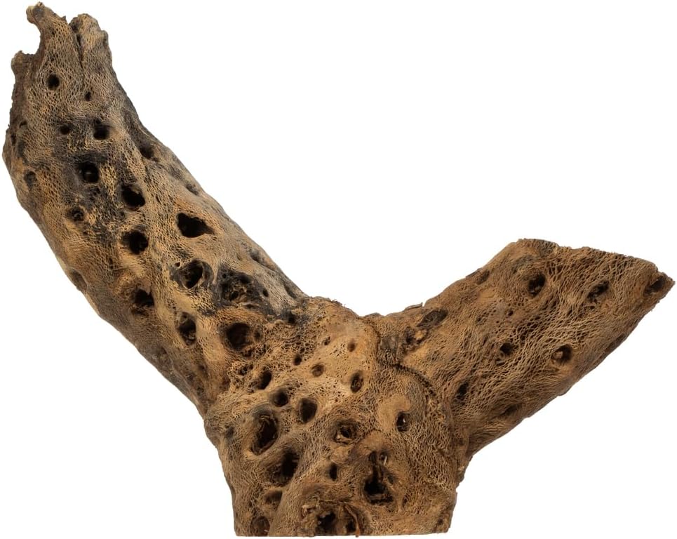 Vickerman 651933-4 -18" Cholla Odds and Ends (1.5CF Cs) (H4COE000) Dried and Preserved Pods