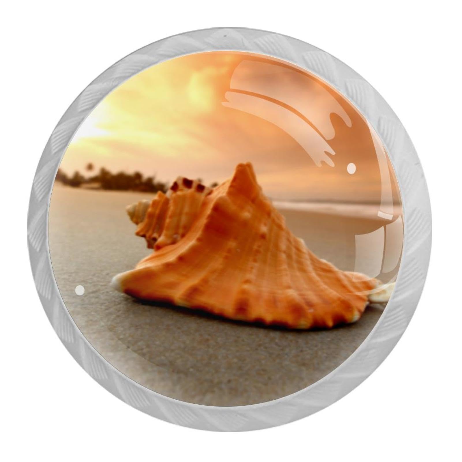 Tqmspg 4 Pieces Drawer Pulls Beach Conch Sunshine Landscape Door Knobs Dresser Handles for Kitchen Wardrobe Cupboard Hardware Furniture