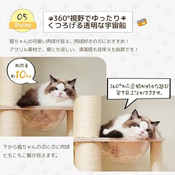 猫ちゃんshop Amazon.co.jp: DECOLE miranda 猫しっぽ クリップボトル 黒猫