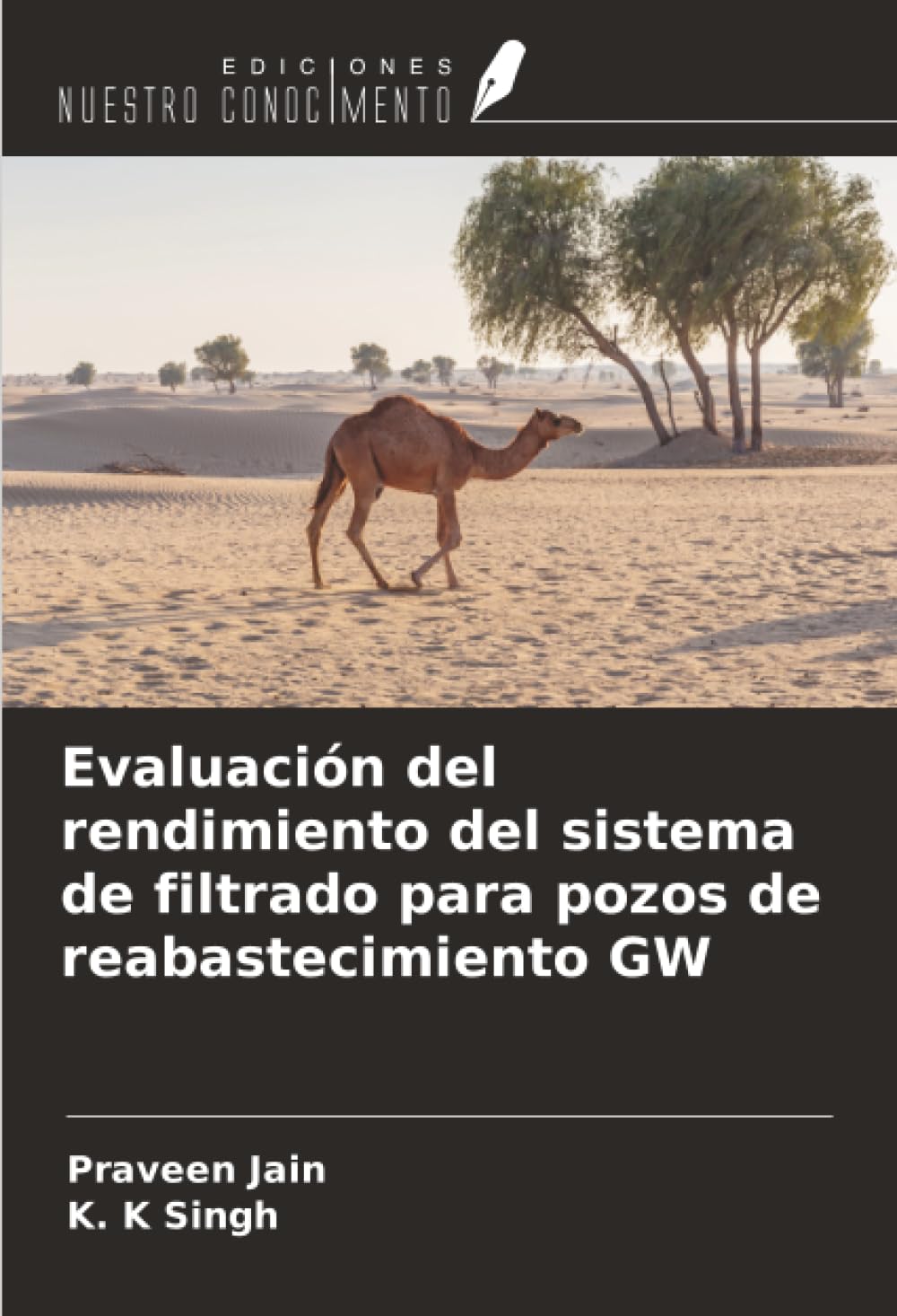 Evaluación del rendimiento del sistema de filtrado para pozos de reabastecimiento GW