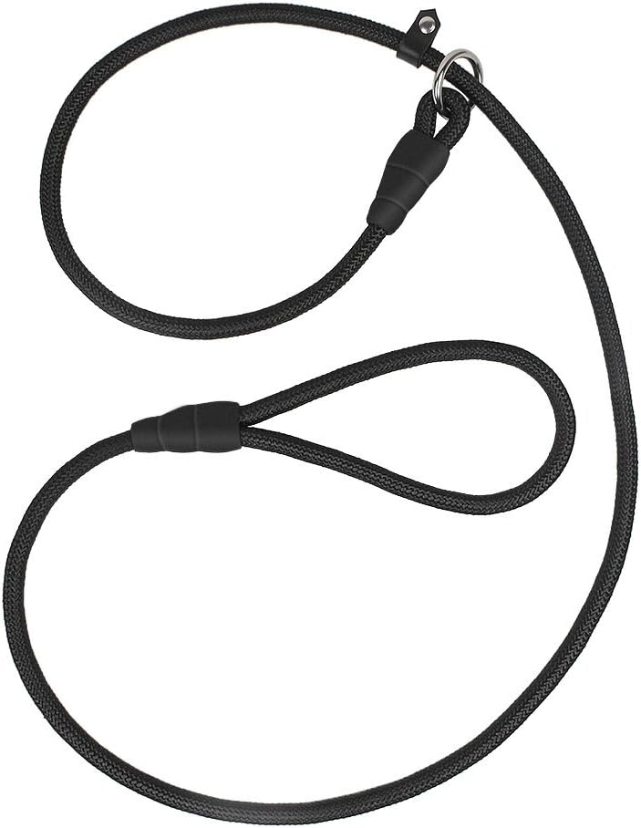 FISTE Nylon Braided Rope Slip Pet Dog Leash Training P-Leash Walking Leading Collar for Small Medium Training Dogs 1CM