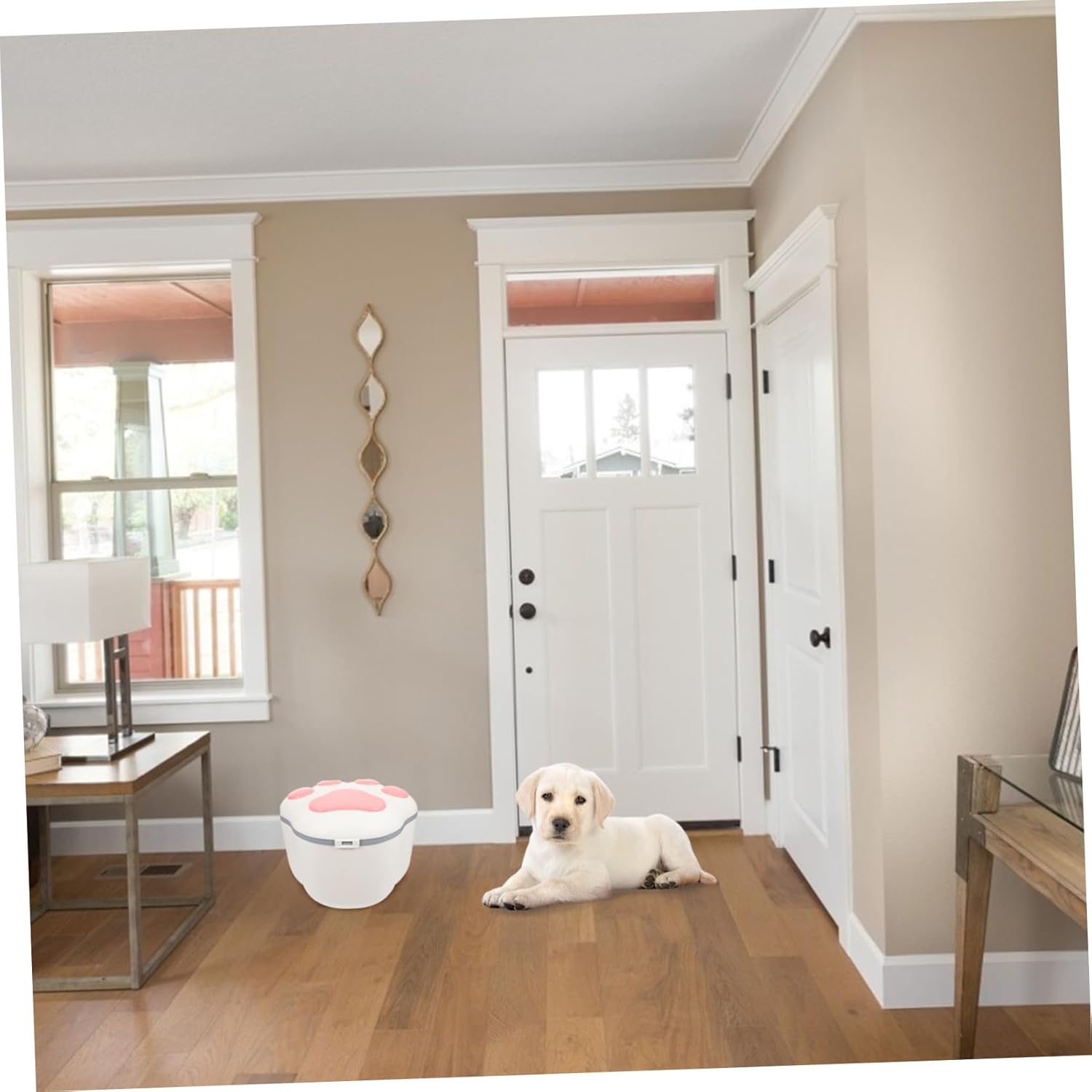 Totority 10kg Large Capacity Dog Food Storage Container Airtight Lid Material Pet Food Bin for up Dog and Cat Treats for Home Organization and Moisture