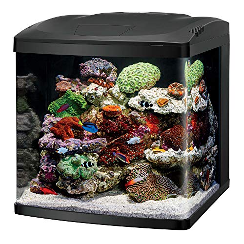 Coralife LED Biocube Aquarium LED