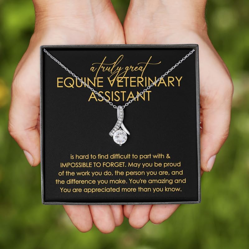 Equine Veterinary Assistant Necklace Message Card Box Alluring Standard - Hard To Find Difficult To - Veterinary Technologist Cat Dog Lovers