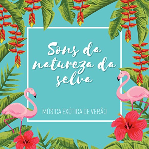 Sons da natureza da selva - MÃºsica exÃ³tica de verÃ£o, Ilha tropical