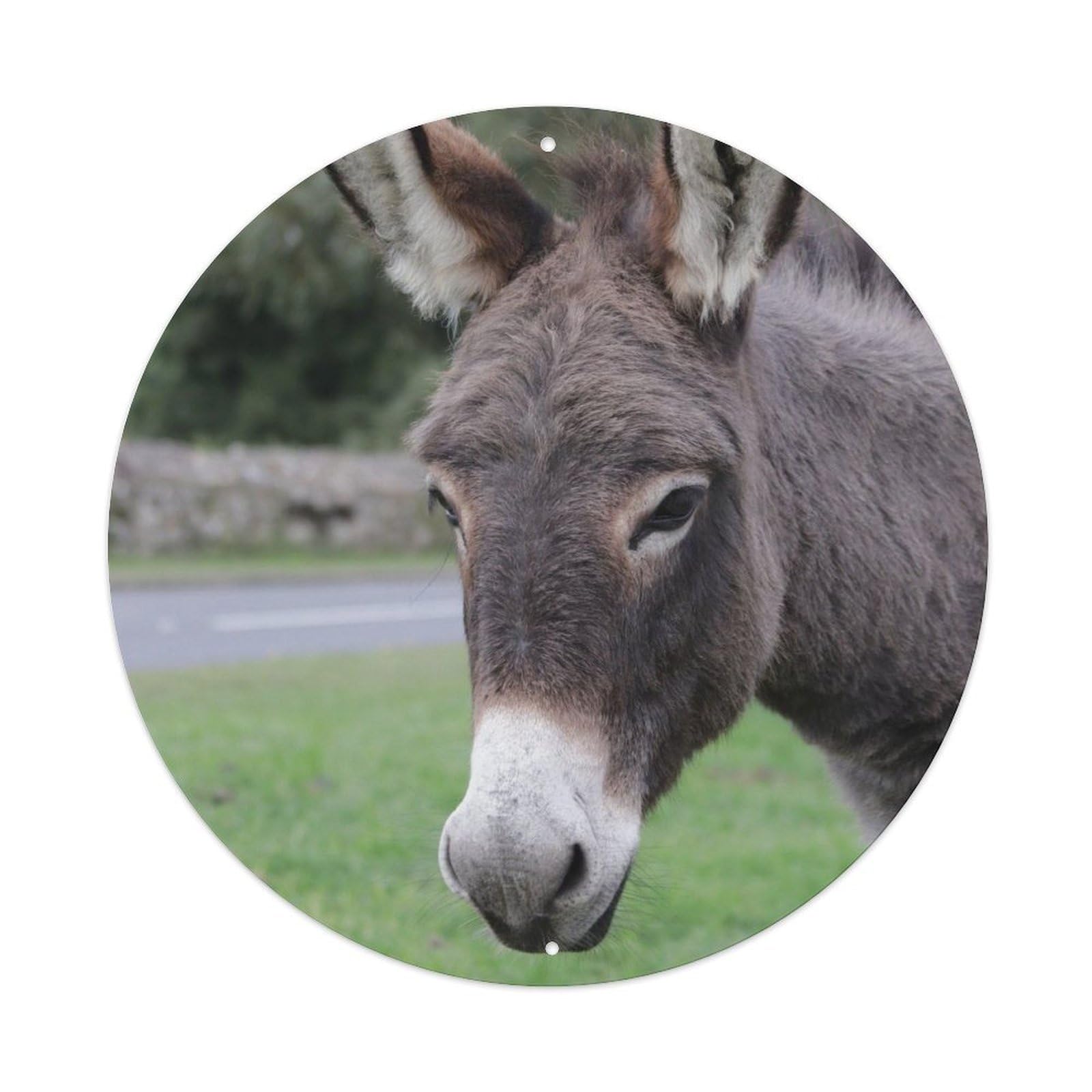 Animal Cotentin Donkey Vintage Metal Tin Sign Plaque Wall Decor for Cafe, Club Bar, Office, Garden Metal Poster 8x8Inch