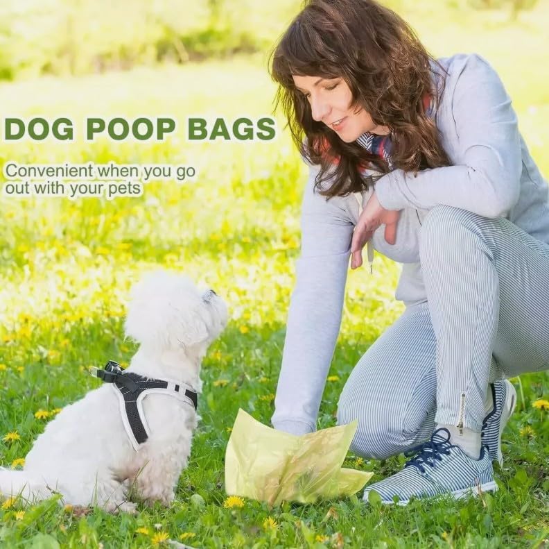 View 6