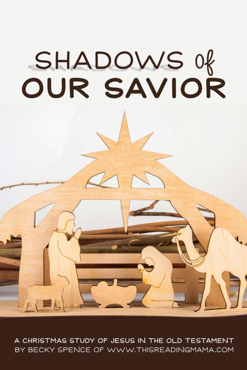 Shadows of Our Savior: A Christmas Study of Jesus in the Old Testament
