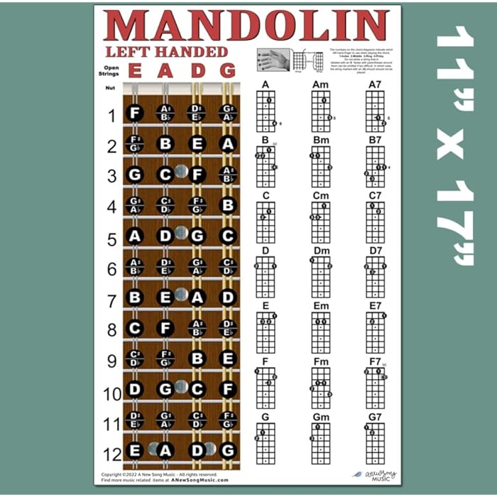 Buy Left Handed Mandolin Chord & Fretboard Note Chart Instructional Easy Poster for Beginners