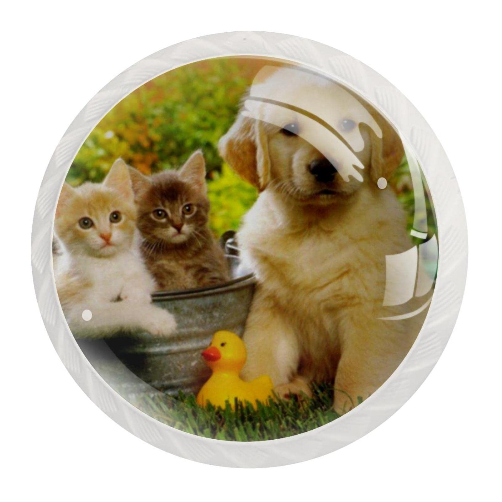 Boutons de quincaillerie d'armoire chat et chien pour égayer la chambre de vos enfants
