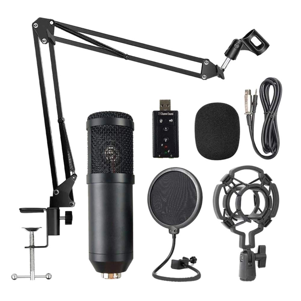 Amazon.co.jp: BYSL BM800プロフェッショナルサスペンションマイク