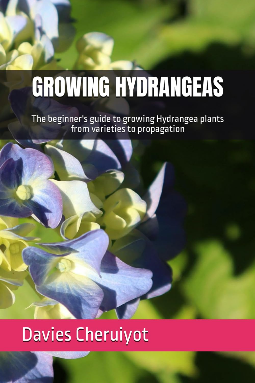 GROWING HYDRANGEAS: The beginner's guide to growing Hydrangea plants from varieties to propagation (Flowers)