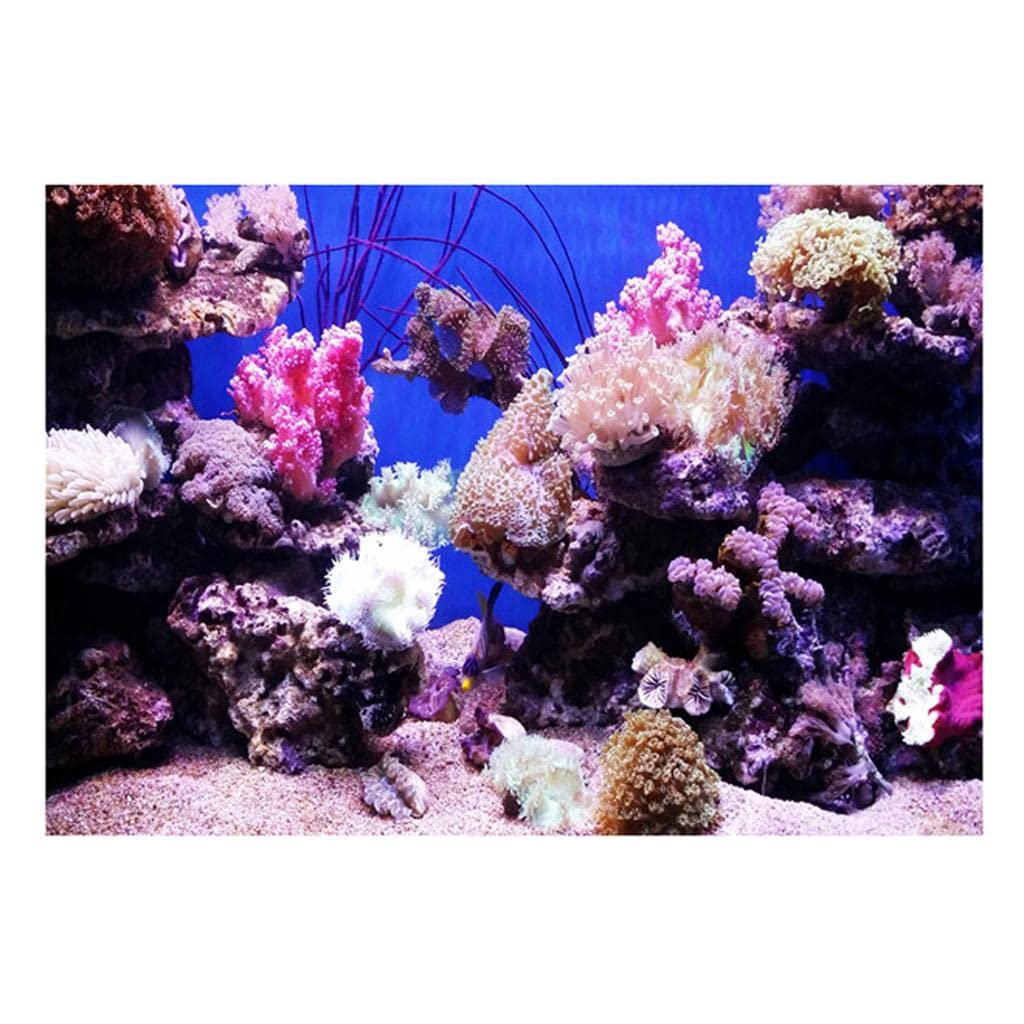 arythe Aquarium Background Adhesive Poster Fish Tank Wall Decorations