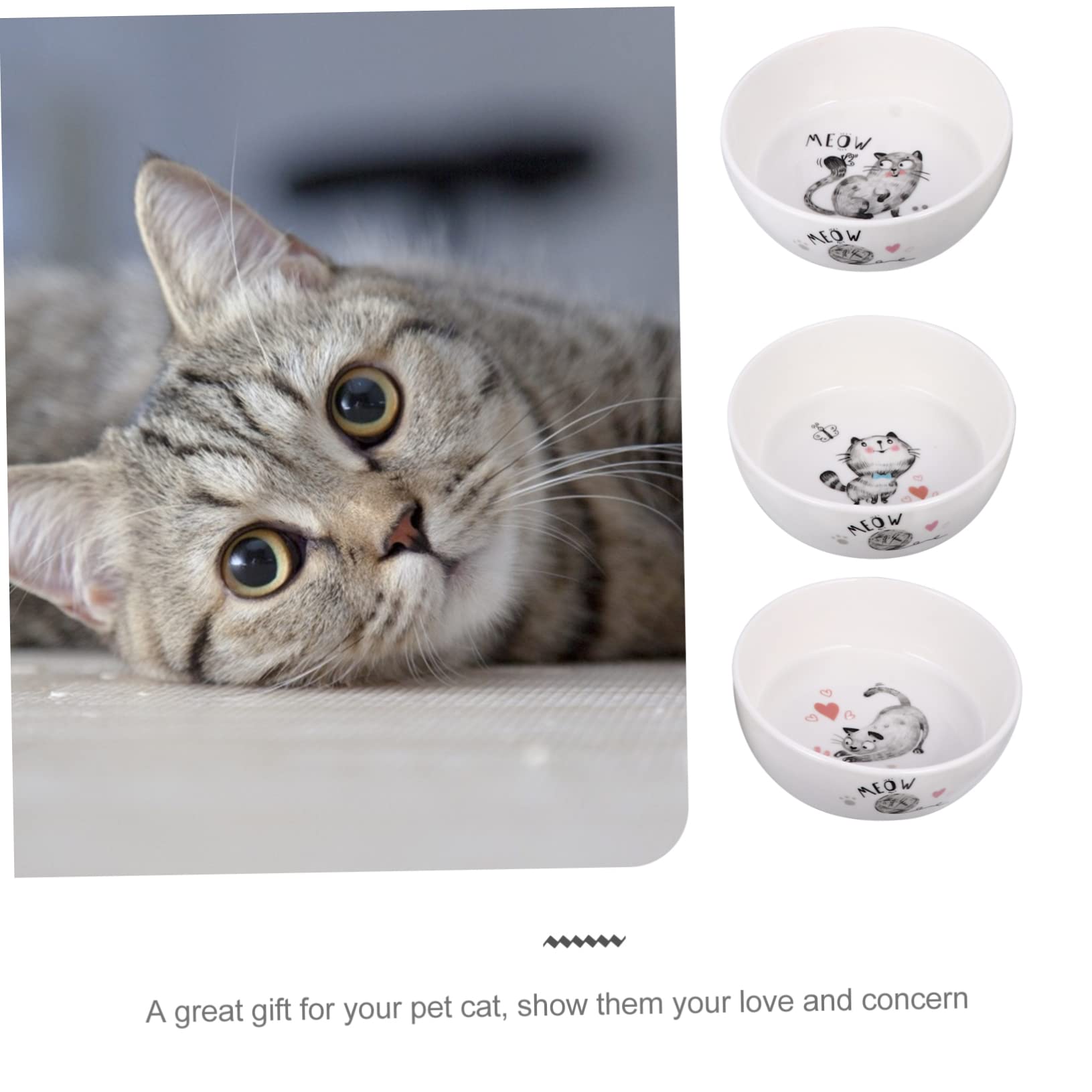 Mipcase Cuenco de para Gatos Antideslizante Fácil de Limpiar Comedero para Mascotas Cachorros y Conejos Capacidad Suficiente para Comida y Agua Adecuado Diario